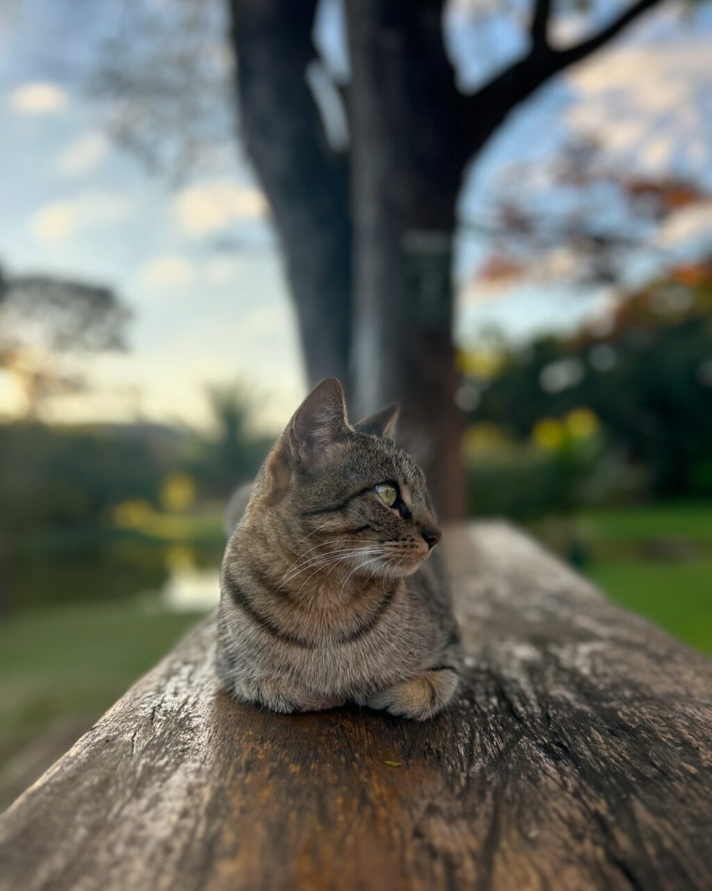 Instagram post from sitiovistalegre. This post is in position 6.